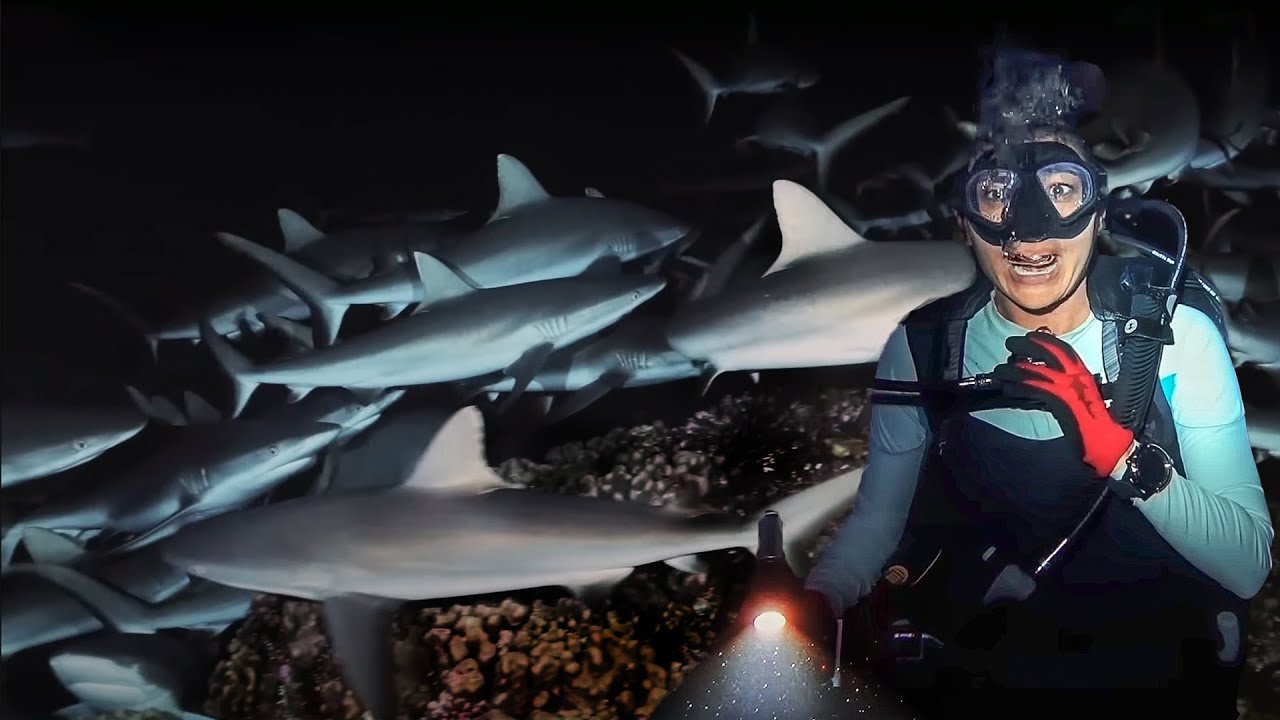 SHARK Feeding FRENZY – He Almost Lost a Foot || Night Dive Fakarava