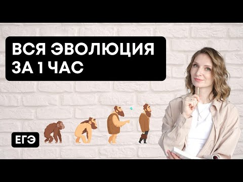 Вся Эволюция за 1 час | Биология ЕГЭ