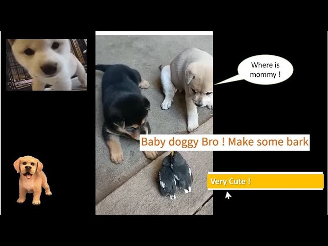 preview_player