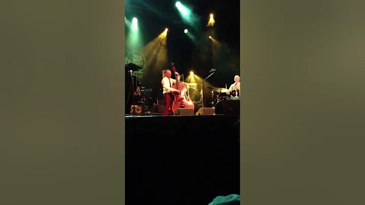 Rex Horan playing a Dieges double bass at the North Sea Jazz Festival (Neil Cowley Trio)