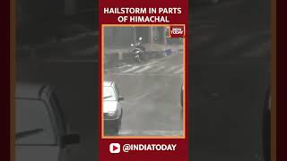 Himachal Pradesh: Heavy Rain And Hailstorm Occurred In Parts Of Hamirpur City Today