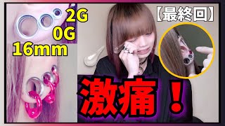 【極意】4G→2G！人生最後の拡張してみた！(多分..おそらく)