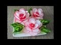 Radieschenblumen / Rose