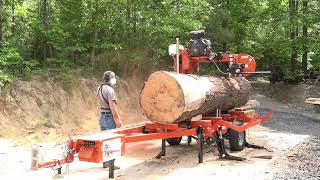 THE LARGEST LOG WE'VE HAD ON THE MILL (LARGE PINE LOG)