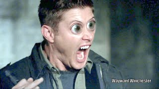 Dean Funniest Moments As A Squirrel on Supernatural