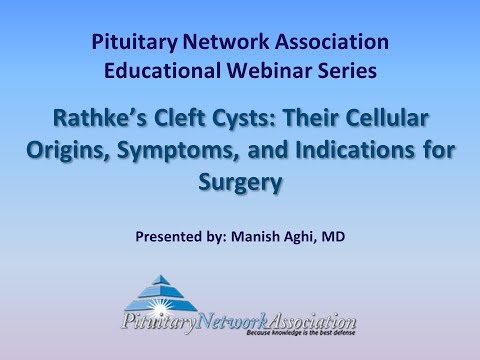 Rathkes Cleft Cysts Their Cellular Origins Symptoms and Indications for Surgery