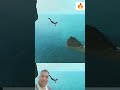ЁЯФеЁЯФеЁЯШ Amazing ЁЯШН Cliff ЁЯШ Diving ЁЯд ЁЯФеЁЯФе Cliffjumping Cliffdiving ЁЯФеЁЯФеЁЯШ Amazing ЁЯШН Cliff ЁЯШ Diving ЁЯд ЁЯФеЁЯФе Cliffjumping Cliffdiving