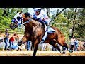 🔥El Morralito C. La Estrella🔥Adios a un grande 🫡. Maturity del Tequila. Hipodromo Tonala, JAL.