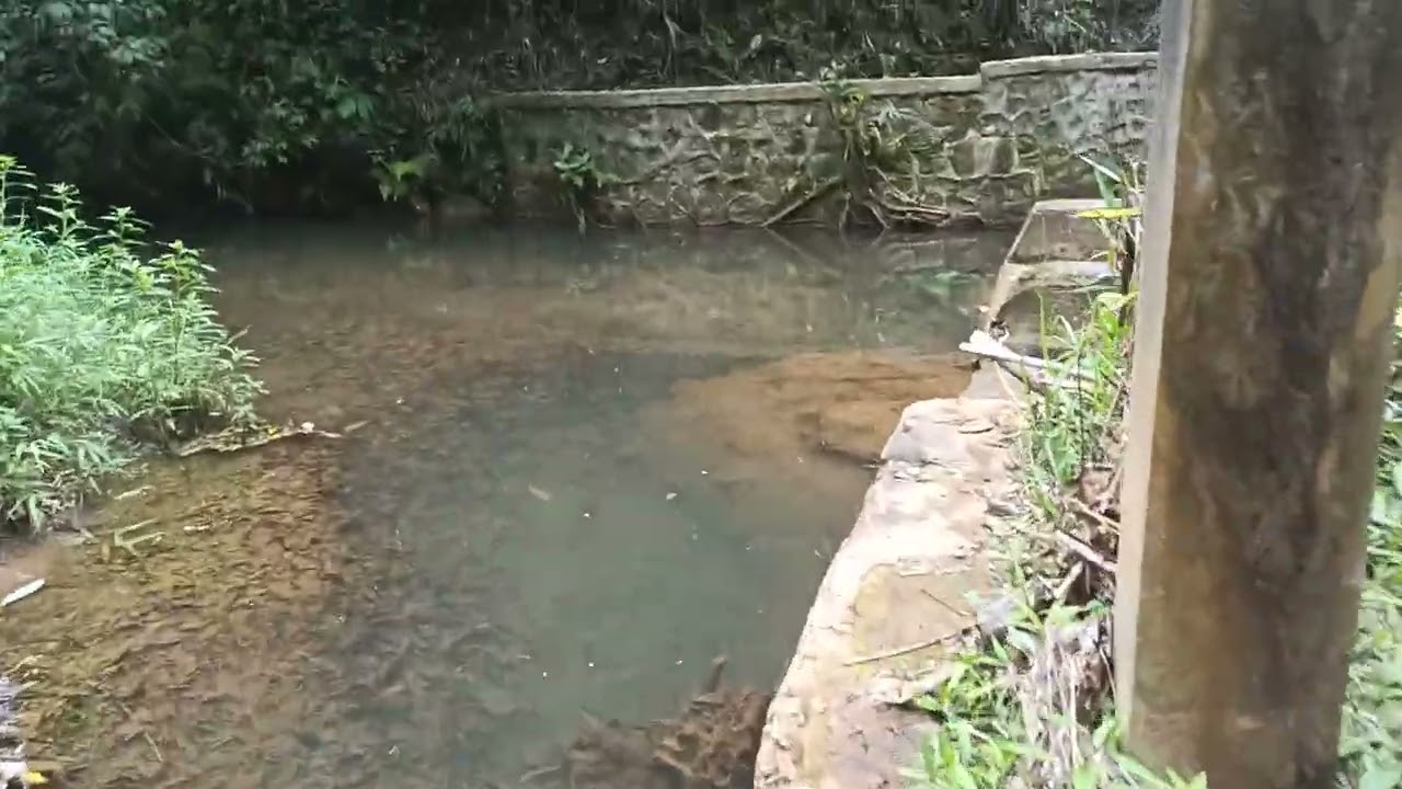 Perjalanan pulang dari menangkap ikan wader