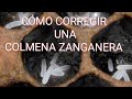CORREGIR COLMENA ZANGANERA