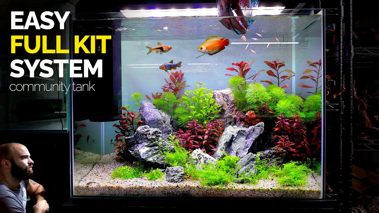 All In One Kit Aquarium: Community Fish Tank Setup (Aquascape Tutorial) 