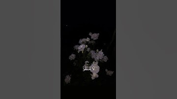 تلاوة جميلة جداً من سورة الزمر بصوت القارئ أدهم النابلسي 💙.