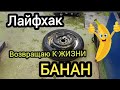 ЛАЙФХАК возвращаю к жизни БАНАН
