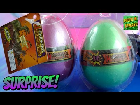 Toy dinosaur eggs