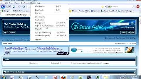 Tri State Fishing DIY Bulk  Picture Resizing using MS Paint, Picture Manager