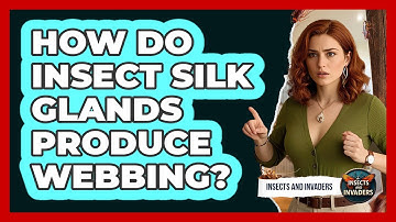 How Do Insect Silk Glands Produce Webbing? - Insects and Invaders