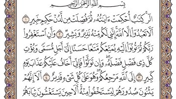 سورة هود الصفحة 221 من القران للشيخ ياسر الدوسري