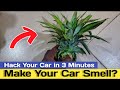 This Simple Hack Will make Your Car home or office Smell Awesome!