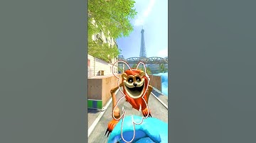 CAN YOU CATCH SONIC TALES POPPY PLAYTIME SMILING CRITTERS PERFECT OUTLINE GARRY