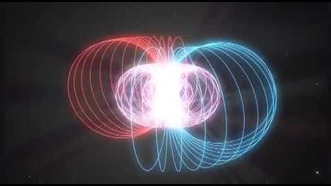 Torus - Magnetic Fields - Embedded Vortex Visualisation