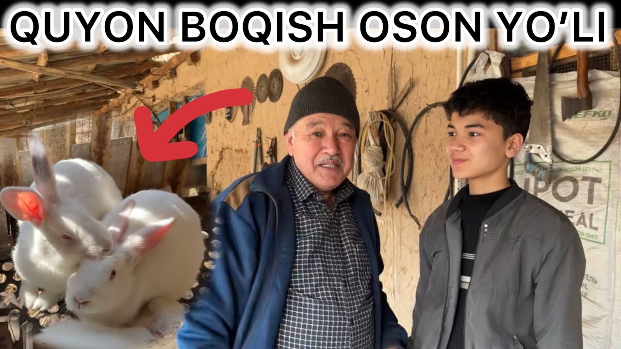 QUYON BOQISH OSON YO’LI UY SHAROYITIDA
