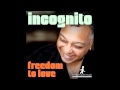 Miniature de la vidéo de la chanson Freedom To Love (Reel People Rework)