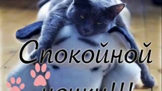 Спокойной ночи, котёнок!