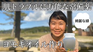 【野草の知恵】日焼け・ニキビ・カミソリ負けにピッタリなヨモギオイルの作り方