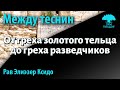 От греха золотого тельца до греха разведчиков. Рав Элиэзер Ксидо