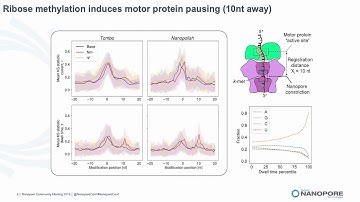 Detection of RNA modifications and structure using nanopore sequencing - William Stephenson