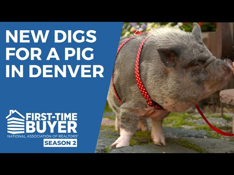 First-Time Home Buyer in Denver, Colorado with REALTOR® Katrina Nguyen