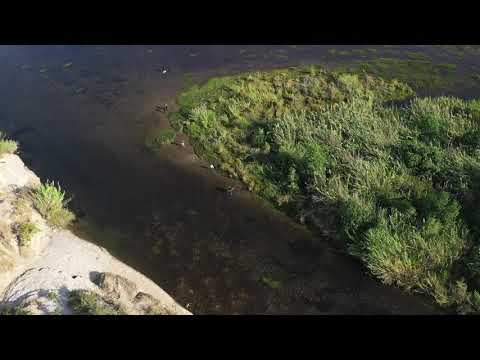 Drone Footage Captures