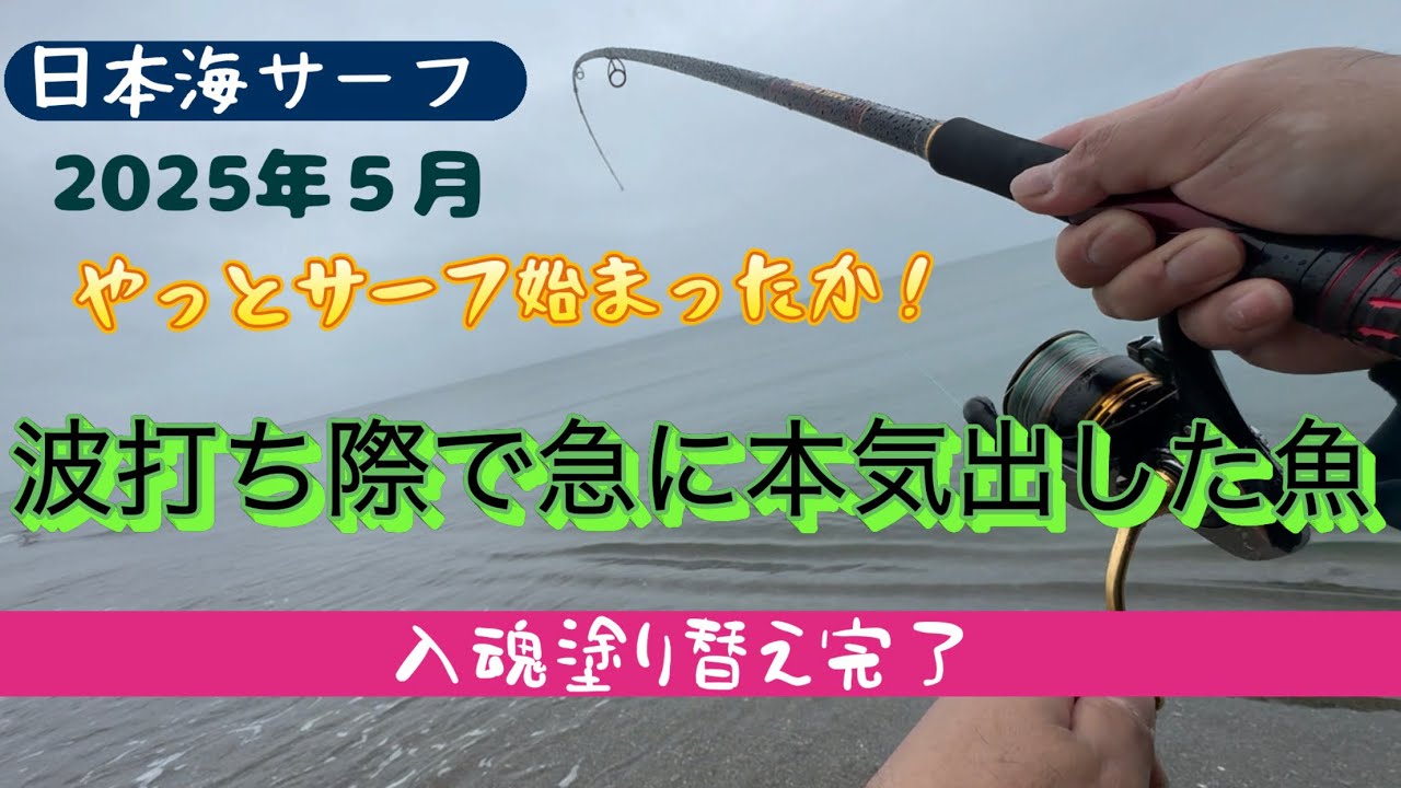 日本海サーフ】ようやく始まった秋田サーフで今年初のフラットを釣って