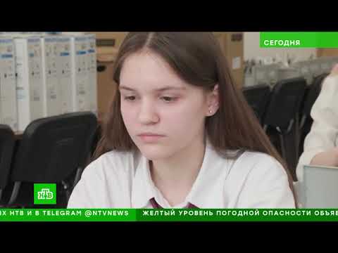 Связь поколений: московский учитель помогает найти данные о погибших бойцах ВОВ