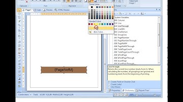 Creating Report with Primitives on Page - [Shot on version 2013.1]