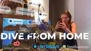 Dive From Home AR Experience | Adobe Aero x The Hydrous x The Smithsonian