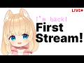 Nekone First Stream Back from Hospital!