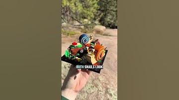 Building LEGO Snails Outside!