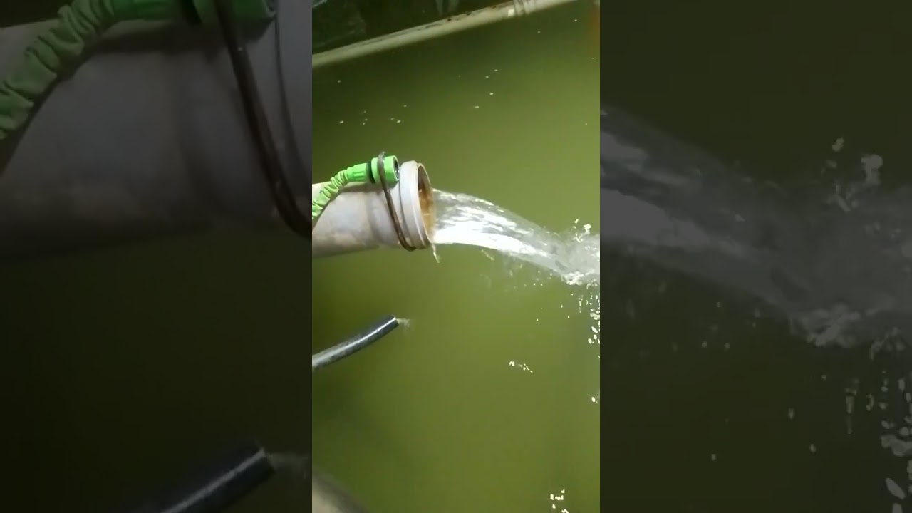 36 КВ. м сколько можно вырастить рыбы? 