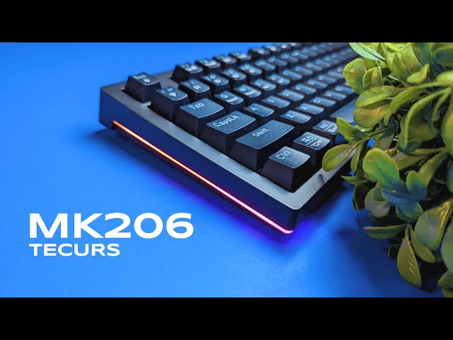 TECURS MK206 Keyboard - Review 