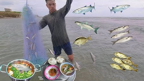 Thả Lưới Bắt Cá Về Nhà Nấu Nồi Canh Chua Trong Ngày Biển Động | Cảnh 86