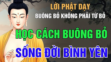 Lời Phật Dạy Về Nghệ Thuật Buông Bỏ: Càng Buông Lòng Càng An