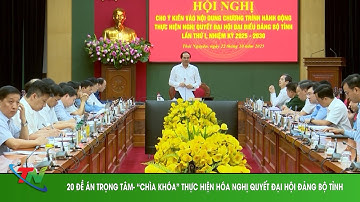 20 ĐỀ ÁN TRỌNG TÂM  “CHÌA KHÓA” THỰC HIỆN HÓA NGHỊ QUYẾT ĐẠI HỘI ĐẢNG BỘ TỈNH