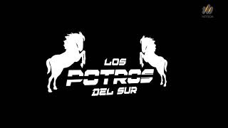 Video-Miniaturansicht von „Maria Elena - Los Potros del Sur“