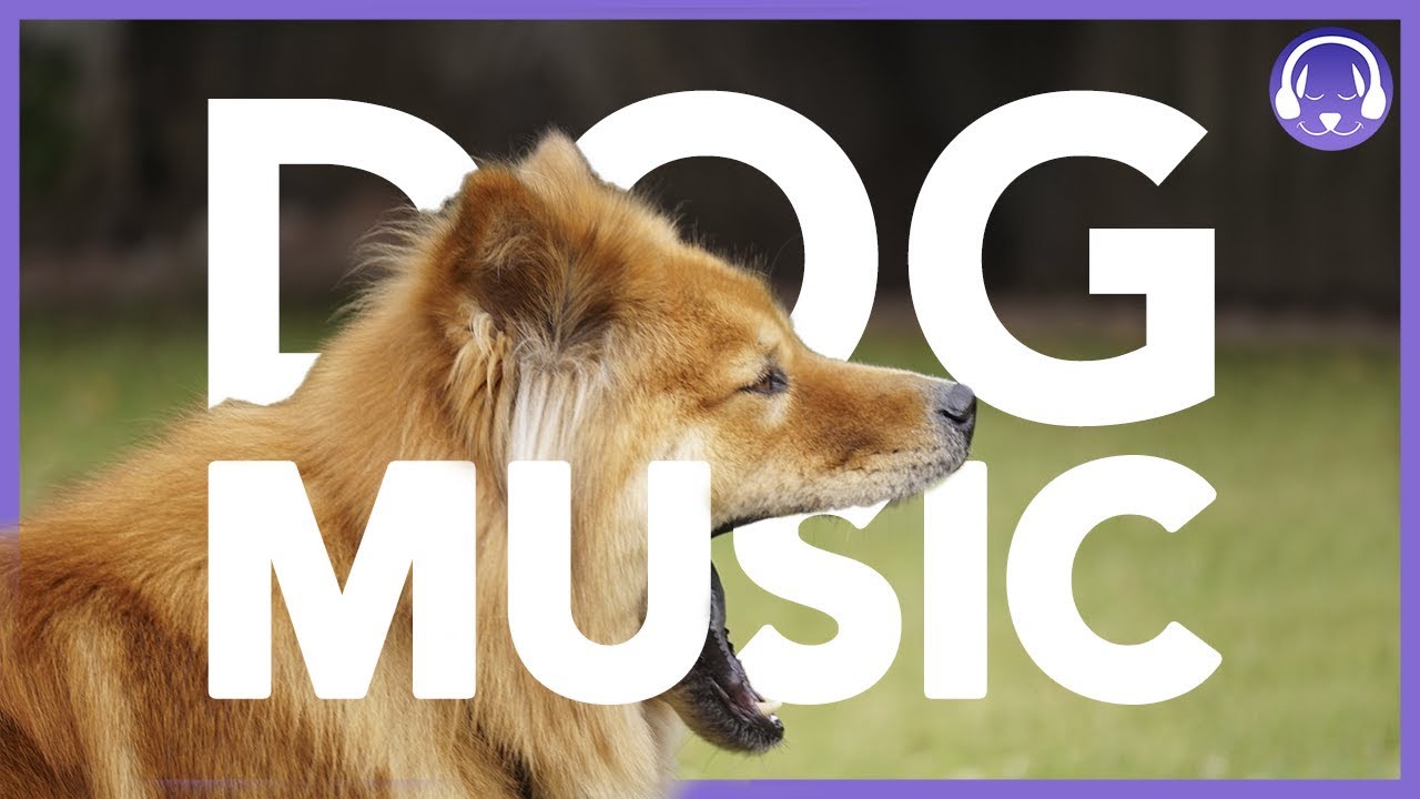 8 hour dog music