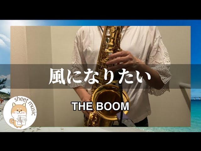 風になりたい THE BOOM アルトサックスカバー 楽譜販売あり - YouTube