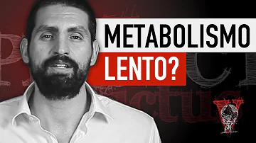 Quando inizia a rallentare il metabolismo?