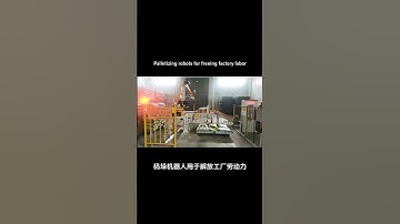 Palletizing robots for freeing factory labor #factory #industrialrobots #palletizingrobot