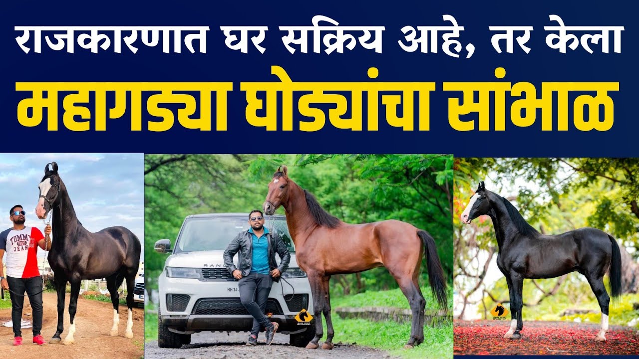 घोड्यांच्या स्टड फार्मिंगची यशोगाथा|hourse  stud farming success story |घोड्यांचा फार्म | raj tapkir