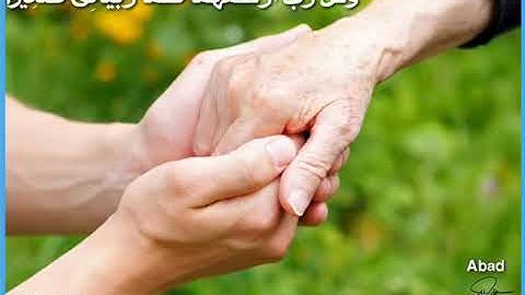 حالة وتس/ القران الكريم/ماهر المعيقلي/سورة الإسراء/الوالدين